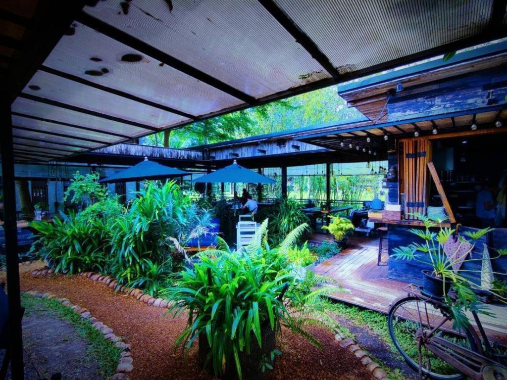 The Willow Phangan Ko Pha Ngan Ngoại thất bức ảnh
