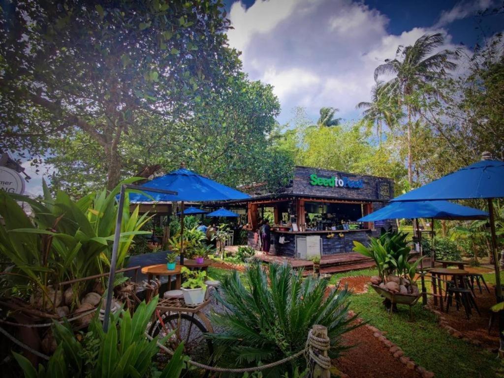The Willow Phangan Ko Pha Ngan Ngoại thất bức ảnh