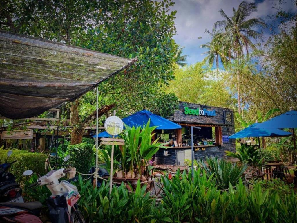 The Willow Phangan Ko Pha Ngan Ngoại thất bức ảnh