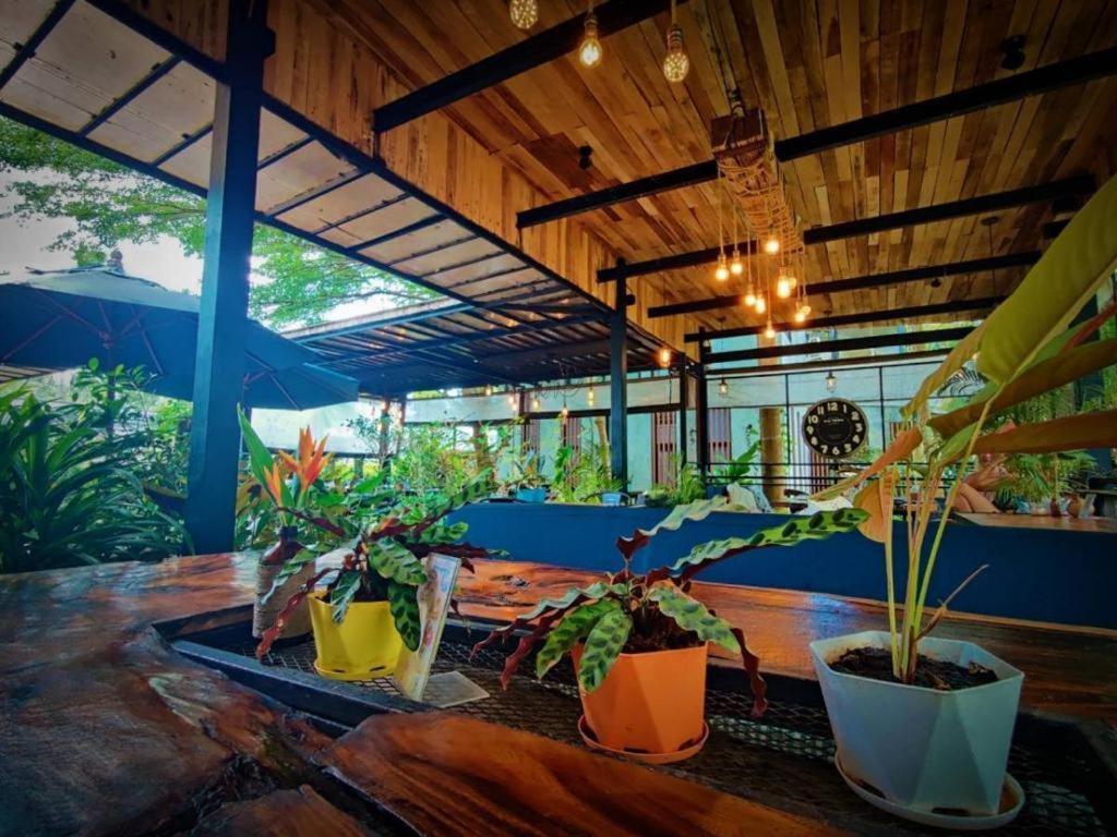The Willow Phangan Ko Pha Ngan Ngoại thất bức ảnh