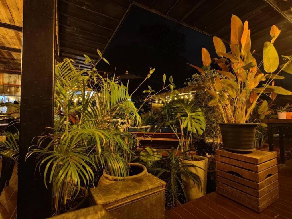 The Willow Phangan Ko Pha Ngan Ngoại thất bức ảnh