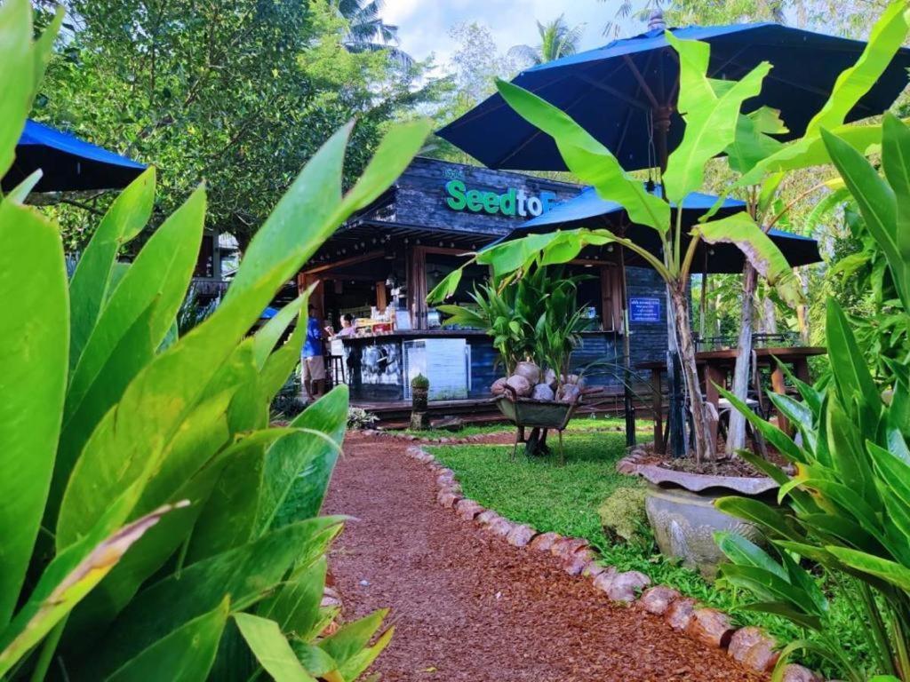 The Willow Phangan Ko Pha Ngan Ngoại thất bức ảnh